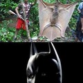 pobre batman