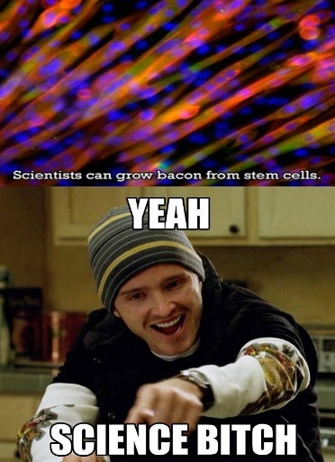Gotta love science - meme