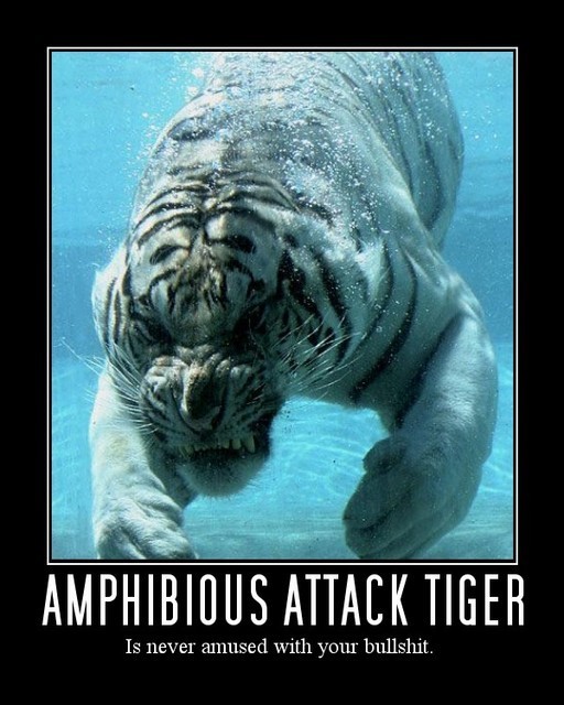 Amphibious Attack Tiger - meme