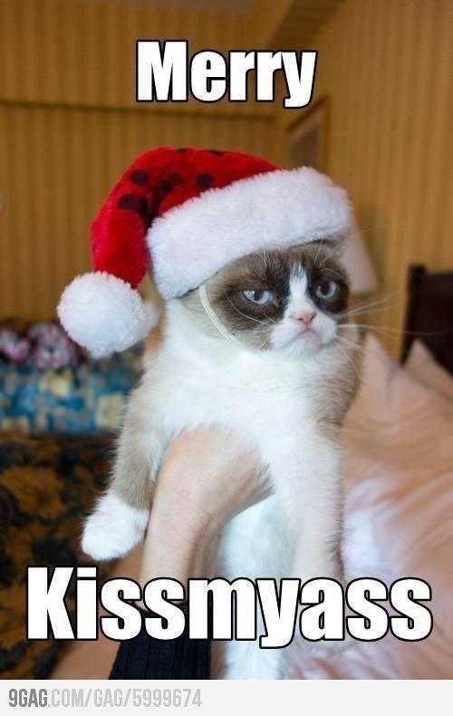 Grumpy cat is grumpy - meme