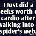 Spiders...