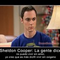 sheldon cooper