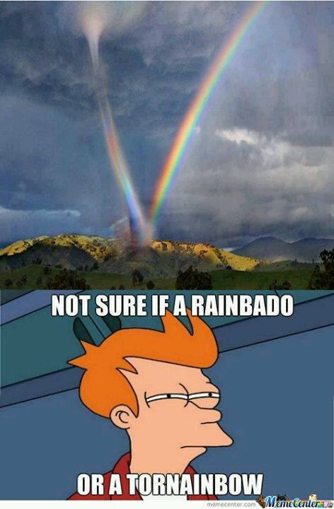 gay rainbow - meme