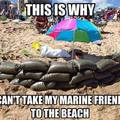 Damnit marines!