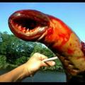 commented item thumbnail