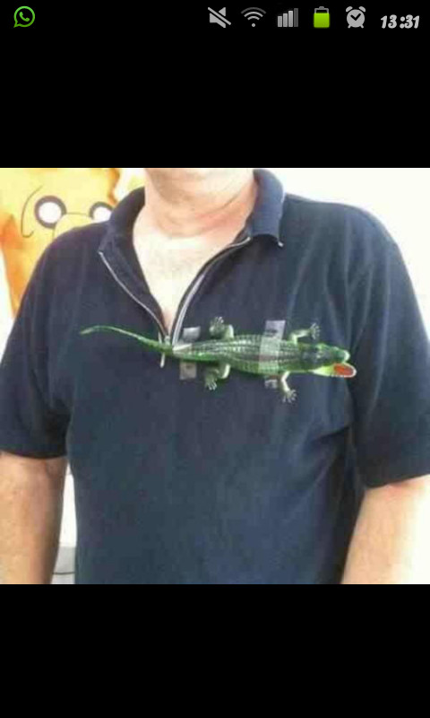 taking lacoste to a new level. - meme