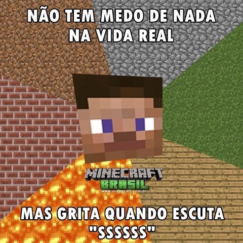 Minecraft Memes Brasil (@Minecraftmemebr) / X