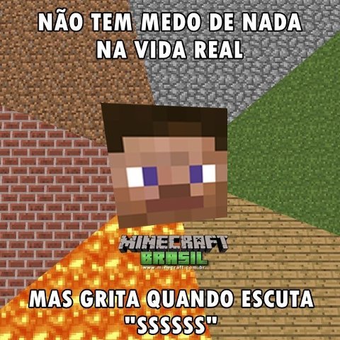 Eu que não peguei minecraft de graça na play store Pi - iFunny Brazil