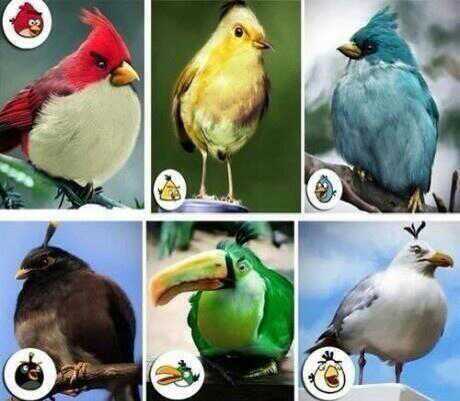 Angry Birds Existen - meme
