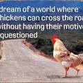 So why did the chicken cross the road??