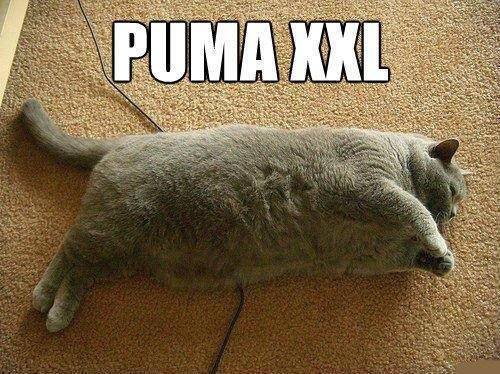 puma xxl