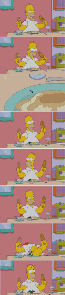 Homer.. - meme