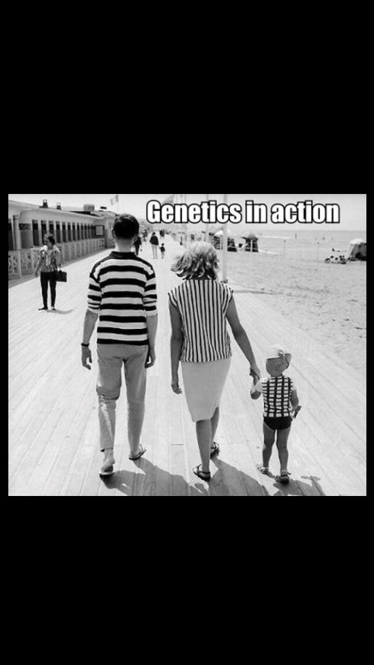 genetics - meme