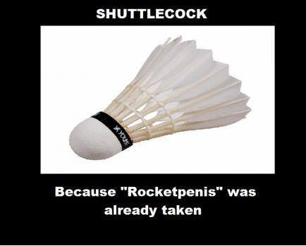 Bitches be on my shuttlecock all day! - meme
