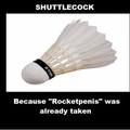 Bitches be on my shuttlecock all day!