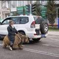 it's okay i will just ride my bear to town
