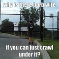 barb wire why?