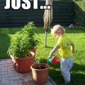 watering my weed