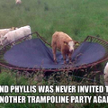 Damn Phyllis 