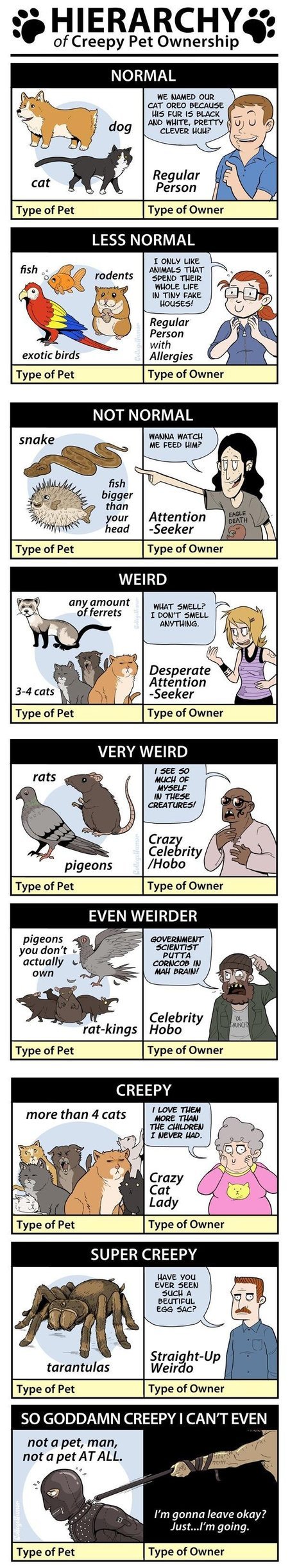 Hierarchy of creepy pet ownership - meme