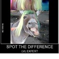 I see no differences...