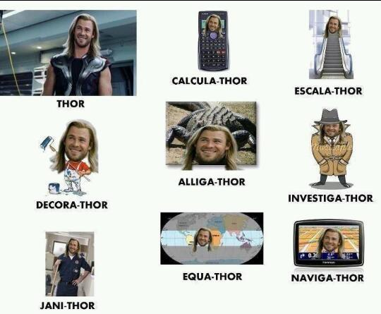 Le Thor - meme