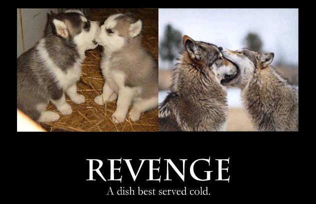 Revenge - meme