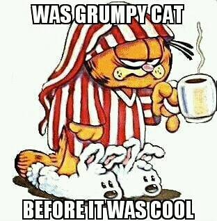 Garfield - meme