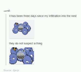 Camouflage poliwhirl - meme