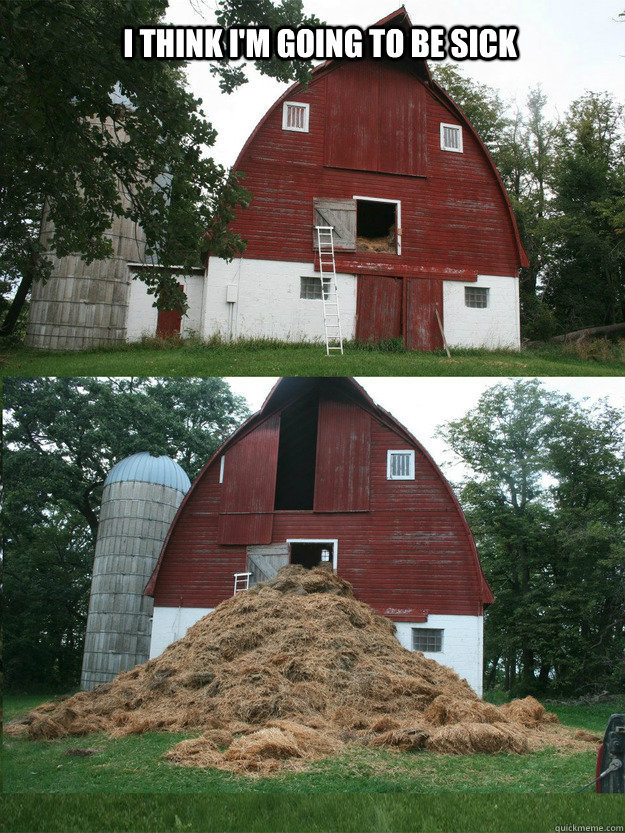 What the hell barn! - meme