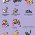 Linguagem dos gatos
