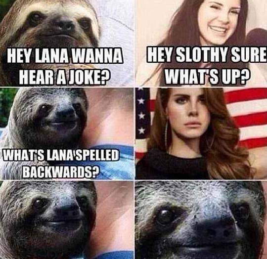 Ohh sloth - meme
