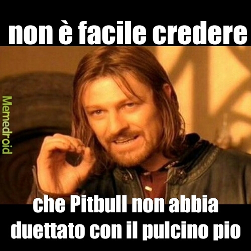 #pio#pitbull - meme