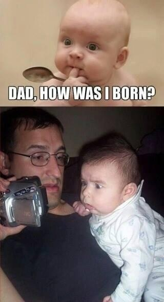 Dad,how i was born - meme