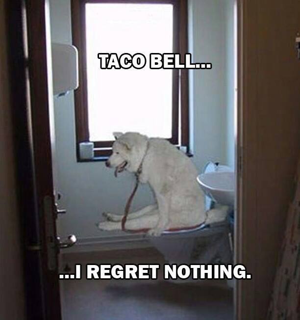 Taco Belle is always worth it. - meme