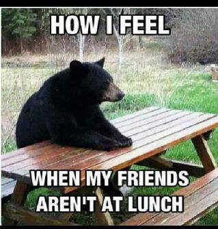 I'm beary lonely - meme