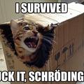 schrodingers cat