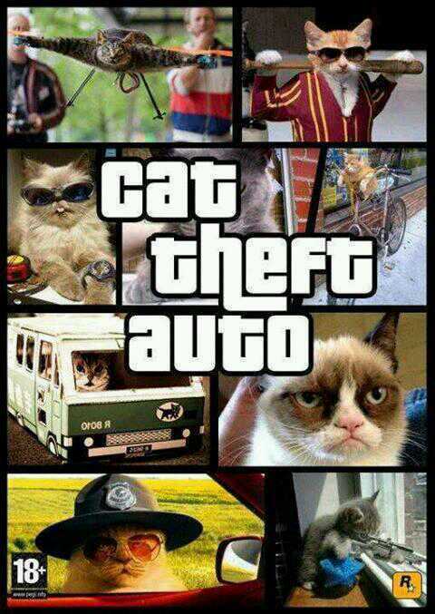 cat theft auto - meme
