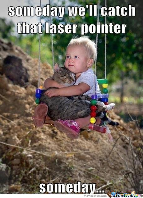 laser pointer.. - meme