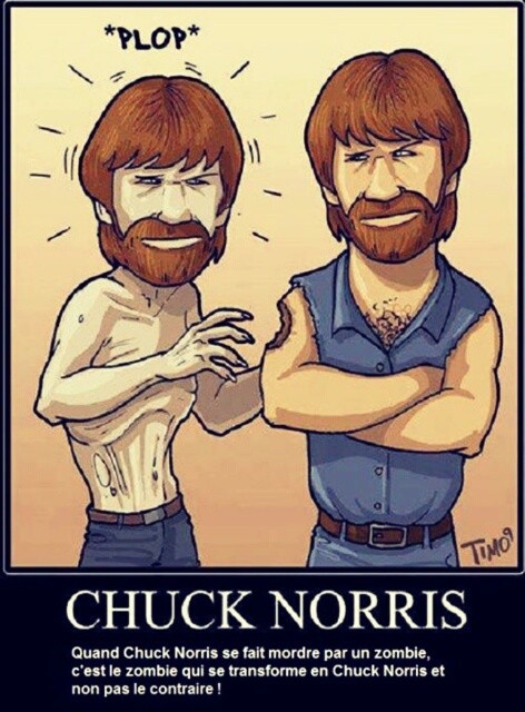 Chuck norris et les zombies - meme