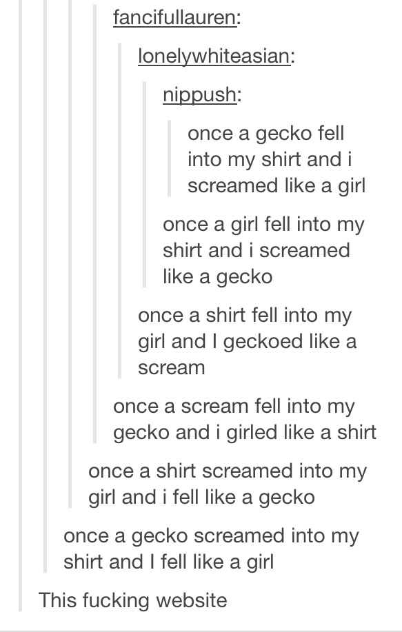 I gecko into shirts all the time - meme