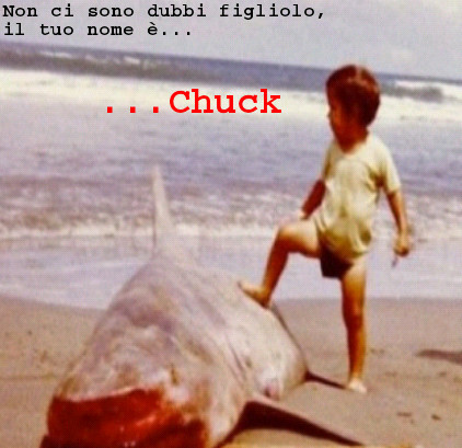 Chuck Norris eroe sin da bambino... - meme