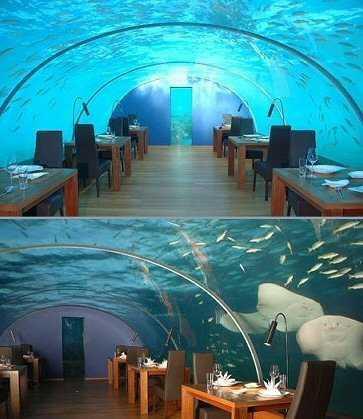 underwater restaurant - meme