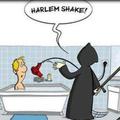 harlem shake!