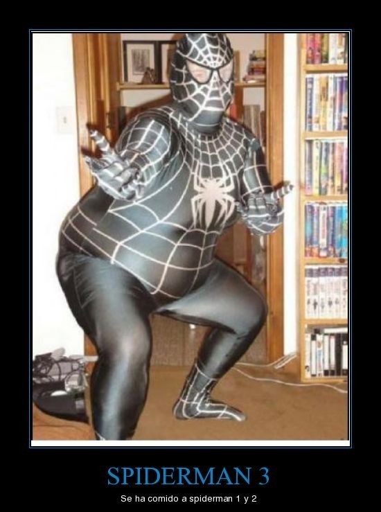 Spidergordo - meme