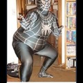 Spidergordo