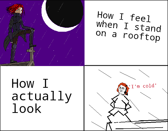 geek on the roof - meme