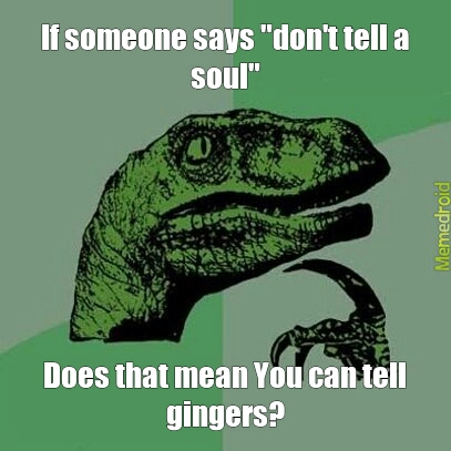 Can you tell gingers? - meme