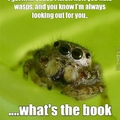 Dont hate on spiders, bro!