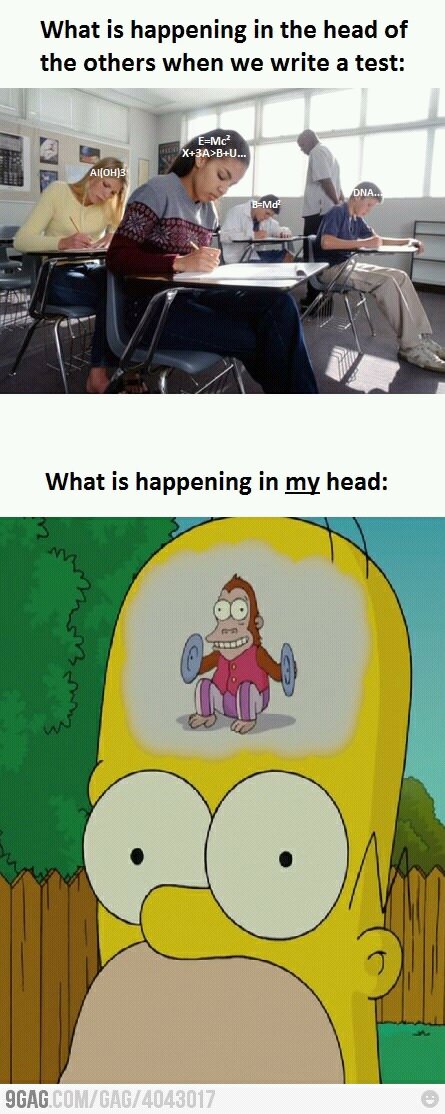 what happens in my head - meme